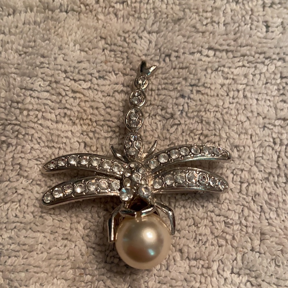 Bug/Insect Pin Lot - Picture 4 of 5